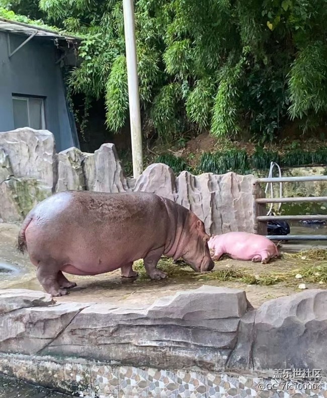 【自駕所見(jiàn)】去動(dòng)物園