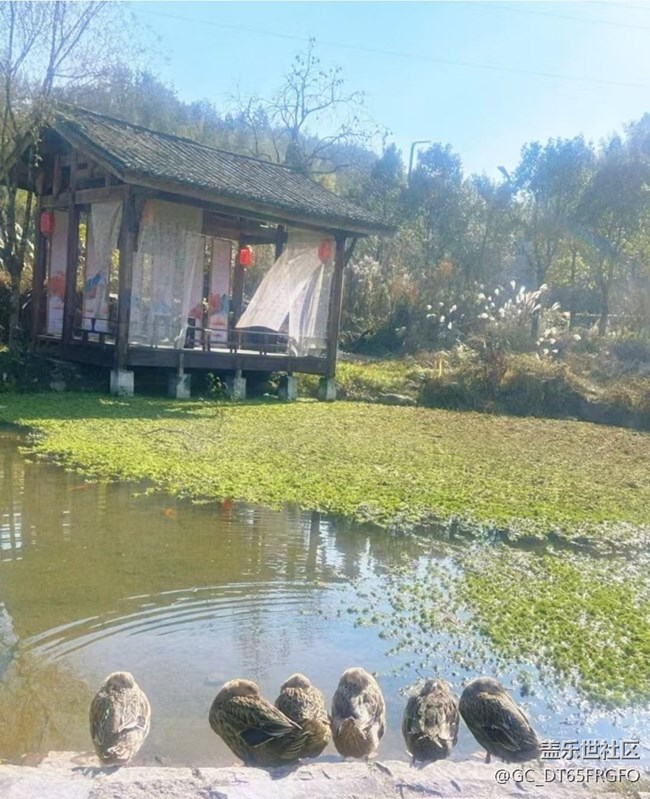 【自駕所見】夏日游玩