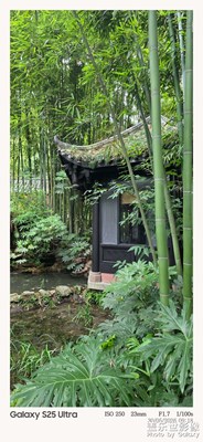 【初夏清風(fēng)】再望望江樓公園