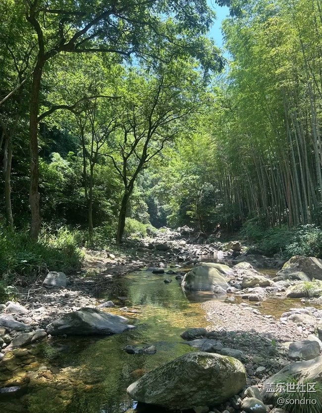【自駕所見】夏日戶外