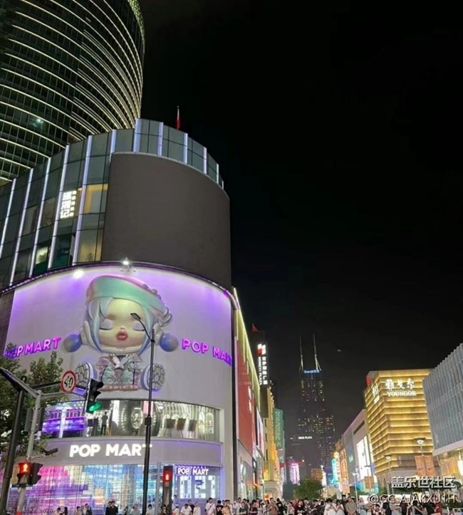 【自駕所見】夜游上海