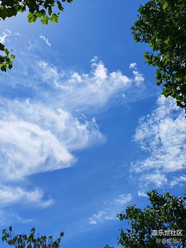 【自駕所見】六月你好