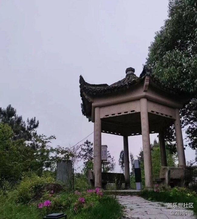 【自駕所見(jiàn)】山頂美景