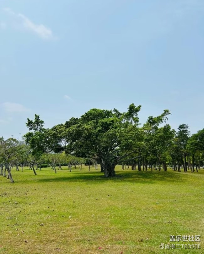【自駕所見】靜心地