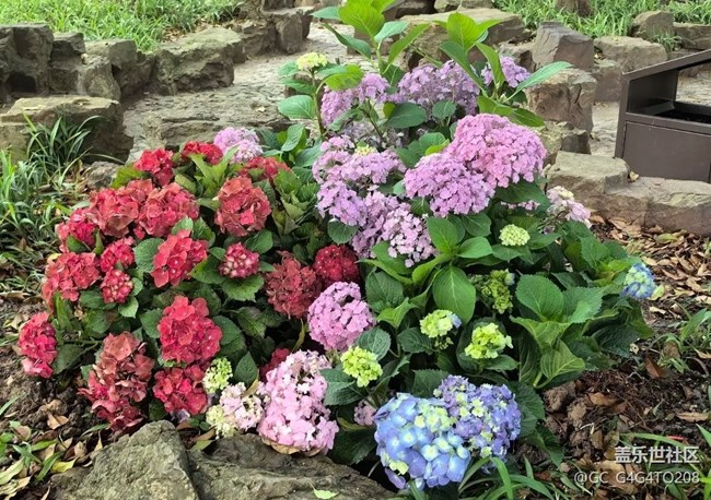 【自駕所見】花花世界