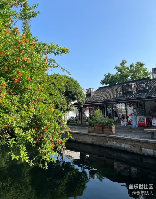 【自駕所見(jiàn)】水鄉(xiāng)美景