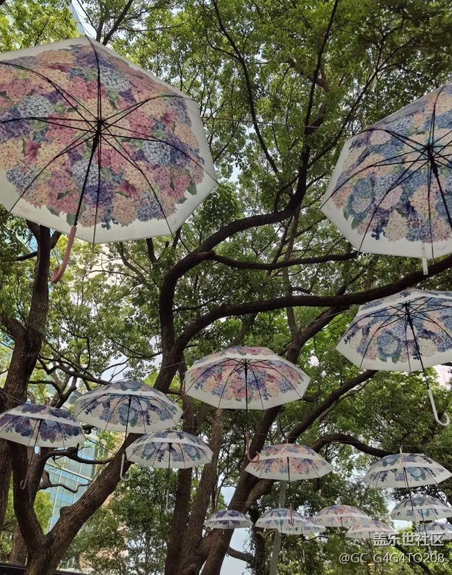 【自駕所見】花花世界