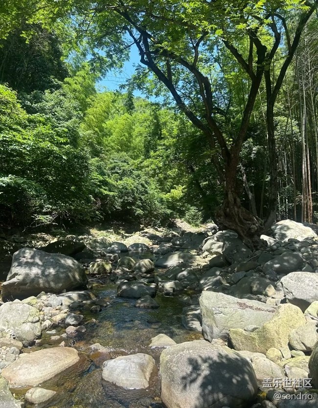 【自駕所見】夏日戶外