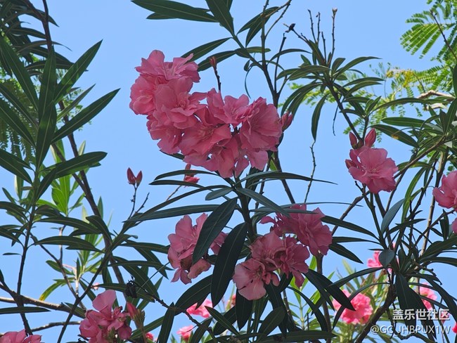 【自駕所見】公園游玩