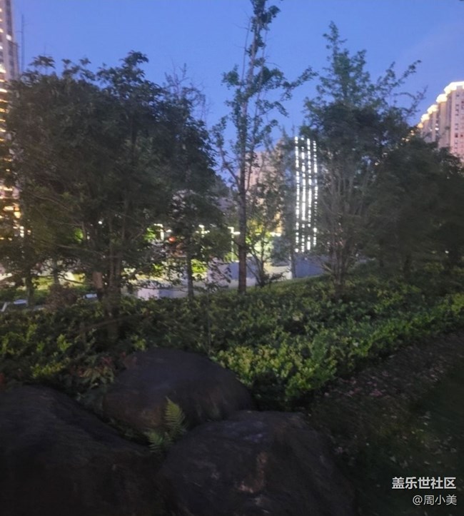 【自駕所見】夏日黃昏