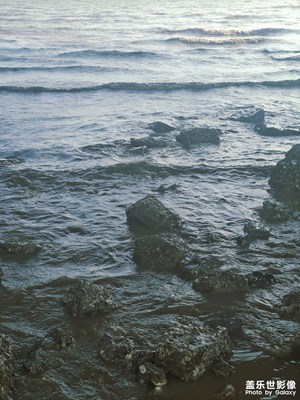 【初夏清風(fēng)】海邊晚風(fēng)