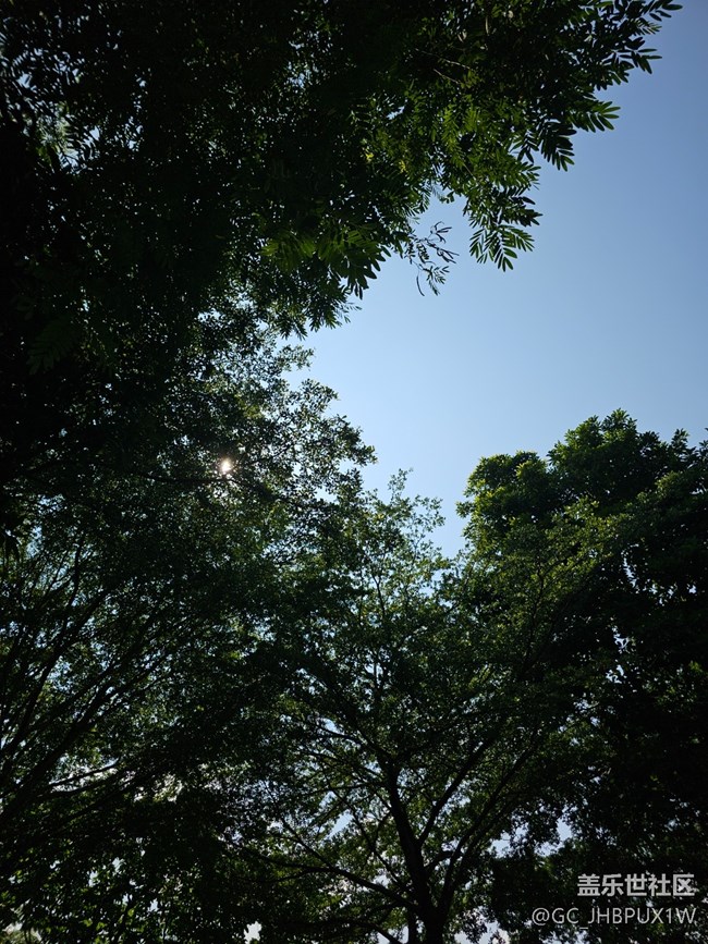【自駕所見】公園游玩