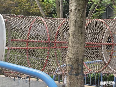 【初夏清風(fēng)】漫步公園