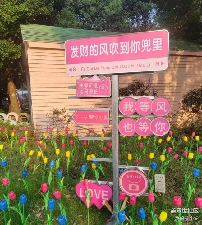【自駕所見】去吹風