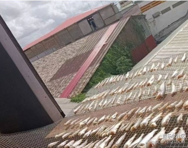 【南風知膳】炸小魚
