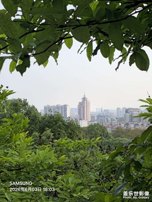【一城一景】遠(yuǎn)眺城市風(fēng)景