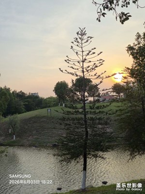 【一城一景】一半自然靜謐，一半人間煙火