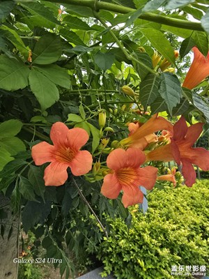 公園里