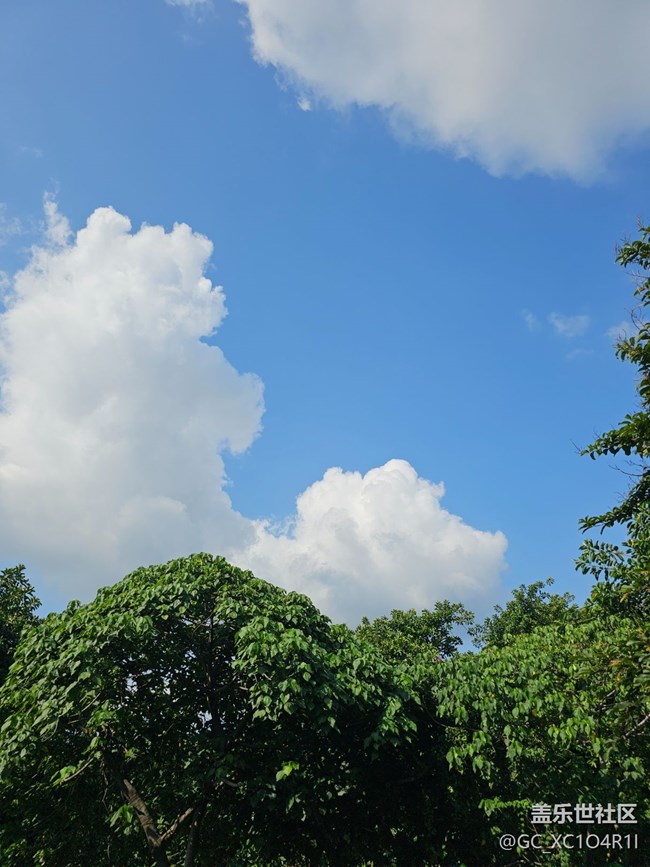 【初夏序曲】初夏景色