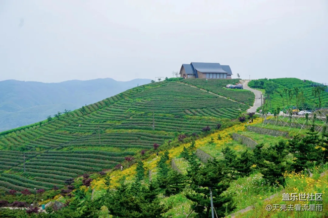 奔赴山海茶林環(huán)線！