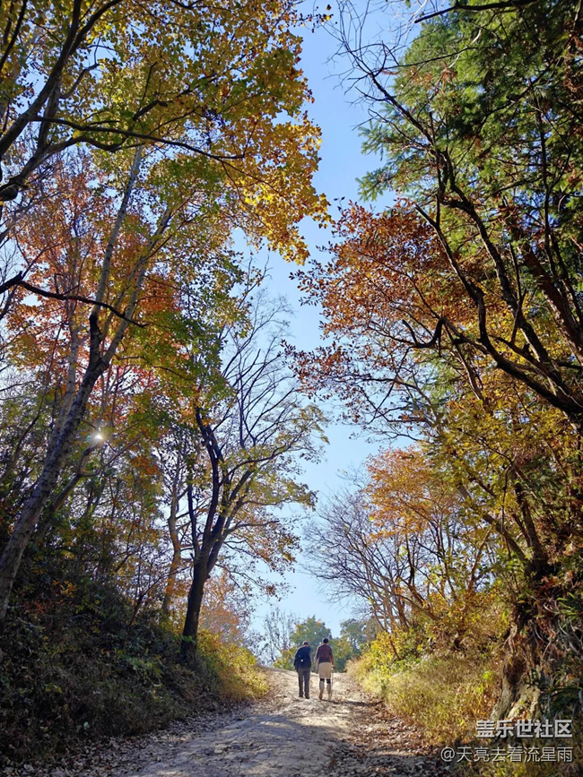 奔赴山海茶林環(huán)線！