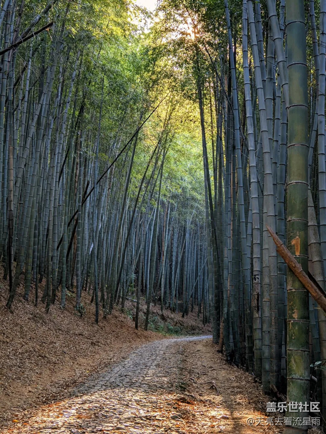 藏在村莊里的梵天凈土