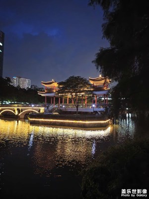 【夏夜之城】公園之夜
