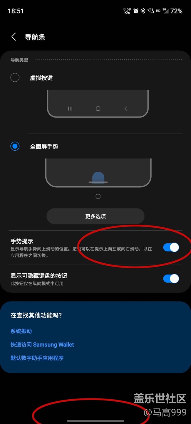 全屏手勢下面那一條橫杠就不能消失嗎？