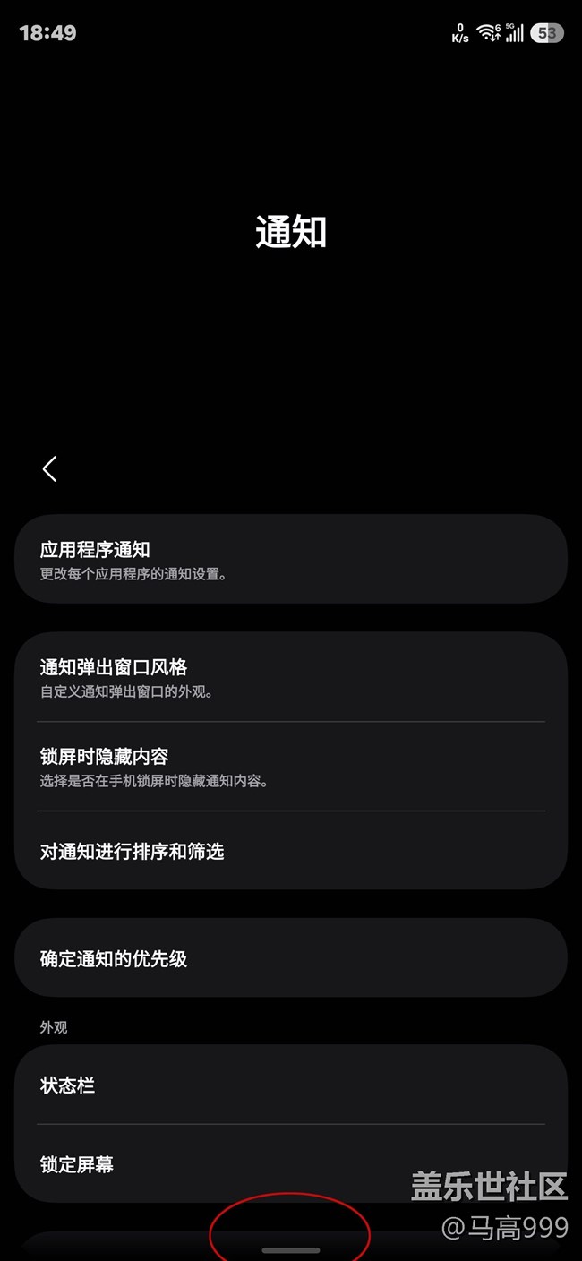 全屏手勢下面那一條橫杠就不能消失嗎？