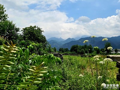 云橫秦嶺