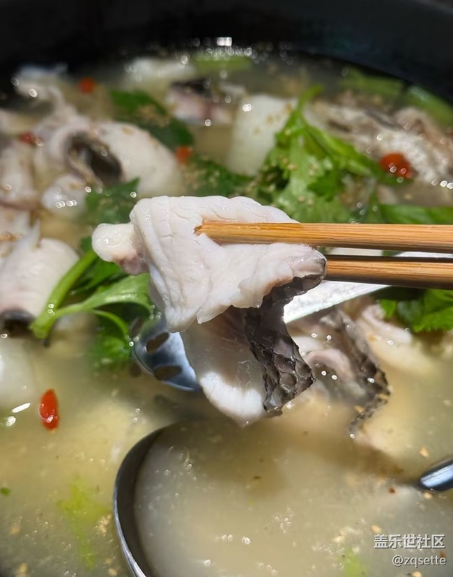 【端陽尋鮮】魚火鍋