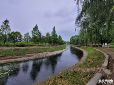 雨中漫步