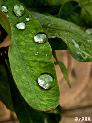 今天，我的城市下起了小雨。三星S25U