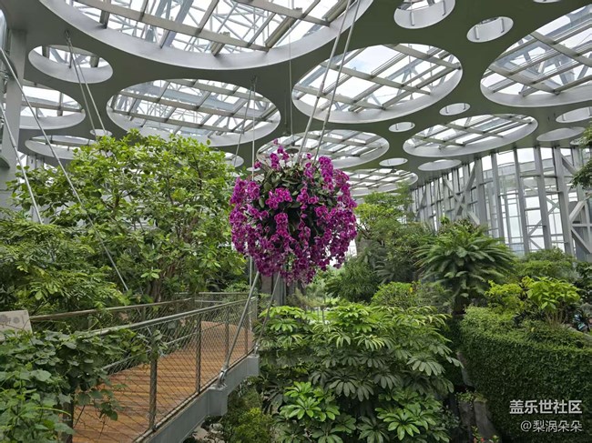 【W(wǎng)atch8跑步搭子】溫室花園手表打卡比賽