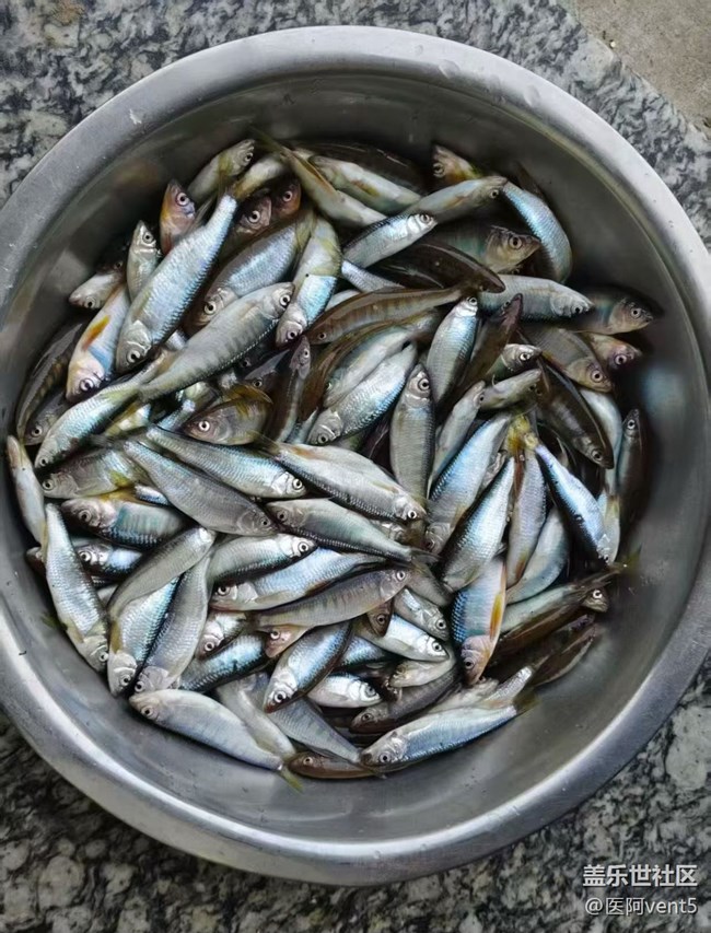 【端陽尋鮮】燒雜魚