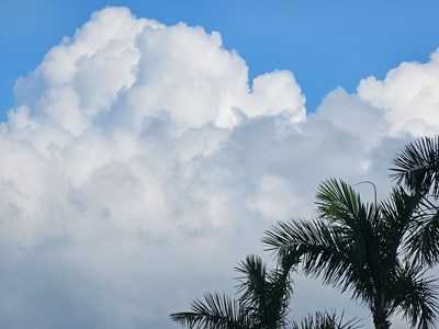 【時光剪影】夏日