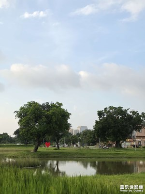 晨跑遇上美景