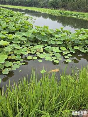 【六月集萃】+又見圓明園