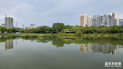 平靜的湖水