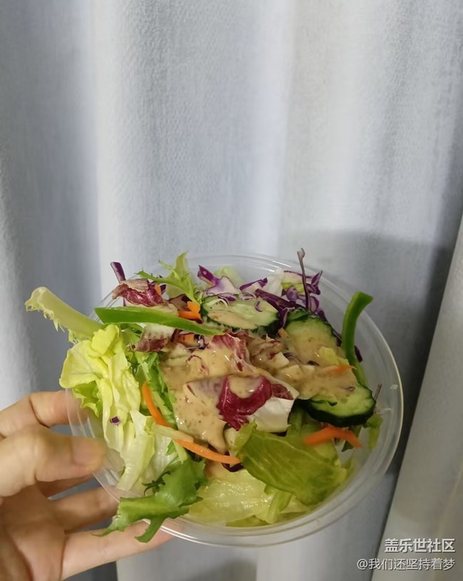 【夏日食光派對】蔬菜沙拉
