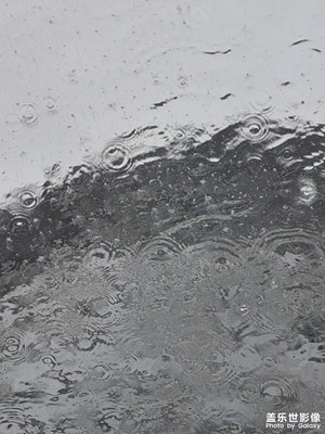 下雨天的隨手拍