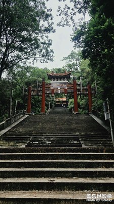 【六月集萃】中山蒂峰公園