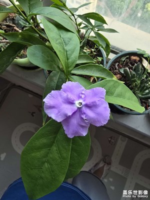 美好時光