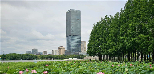 【动静皆宜】远香湖畔荷花盛开