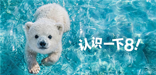 新来的 来新的！