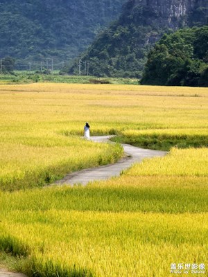 【步履間的風(fēng)景】走在峰林稻田間