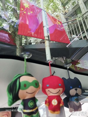 【節(jié)日里的影像】母親生日10.1