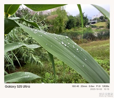 國(guó)慶7天樂(lè)第二天