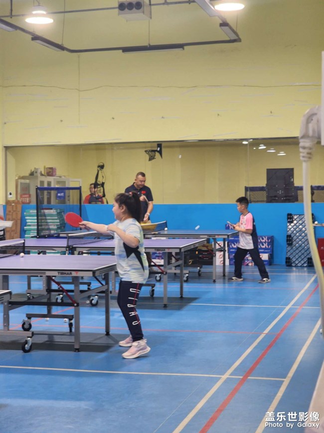 給孩子報個乒乓球