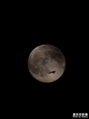 中秋月